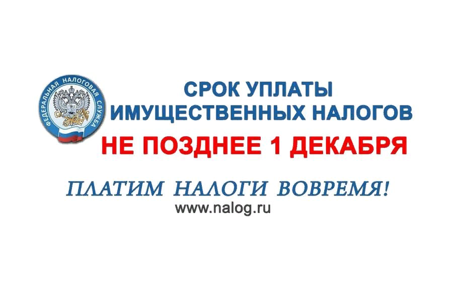 Срок уплаты налогов